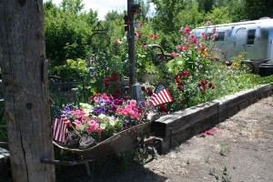 dads-old-wheelbarrow