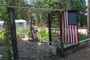 flags-in-garden