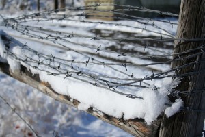 Barb-Wire-Fence