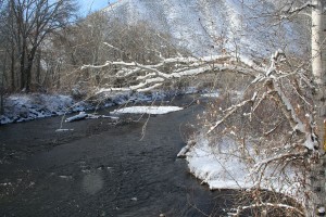 branch-over-riverweb