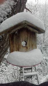 Birdhouse-&-Snow