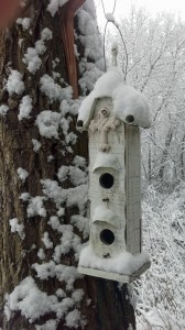 Birdhouse-snow2