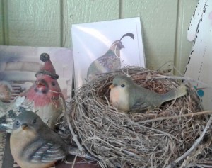 sunroom-birds-nest